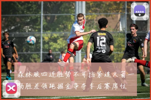森林狼四连胜势不可挡紧追火箭一场胜差领跑掘金争夺季后赛席位