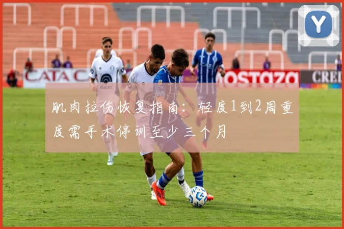 肌肉拉伤恢复指南：轻度1到2周重度需手术停训至少三个月