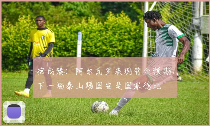 宿茂臻：阿尔瓦罗表现符合预期，下一场泰山踢国安是国家德比